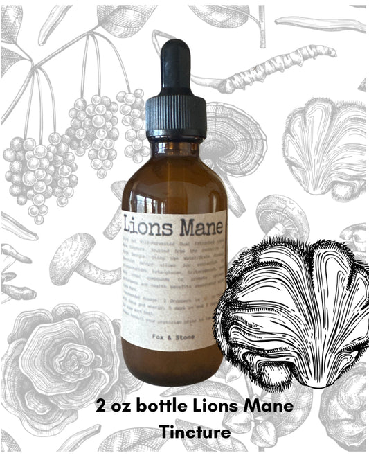 Wild-Foraged Dual-Extract Lions Mane Tinctures